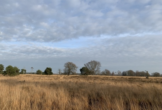 CASTatelier Buitenkans | Reflectie 2 Wonen in het buitengebied